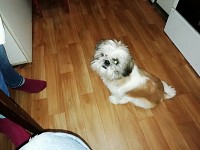 Tiberiu